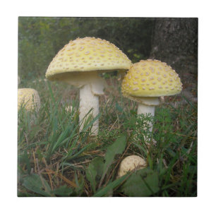 Mushroom Delight! Ceramic Tile