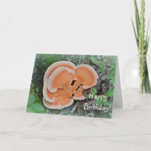 Mushroom Forager Birthday Card