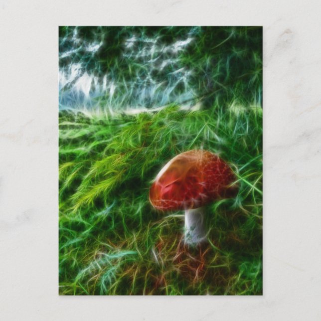Mushroom Fractal Forest Postcard (Front)