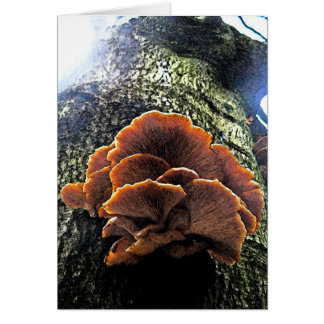 Mushroom Fresco