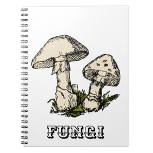 Mushroom  illustration notebook