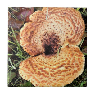 Mushroom in the Forest Ceramic Tile