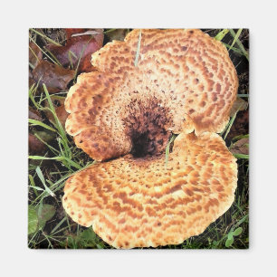 Mushroom in the Forest Magnet