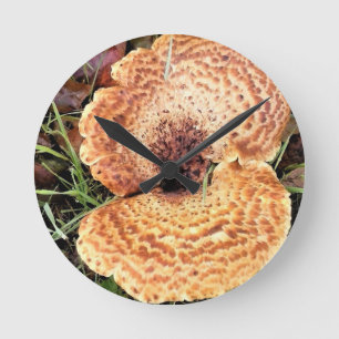 Mushroom in the Forest Round Clock