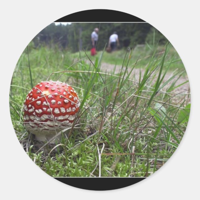 Mushroom In The Grass Classic Round Sticker (Front)