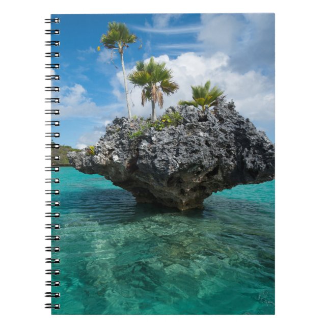 Mushroom Islets In Fiji Notebook (Front)