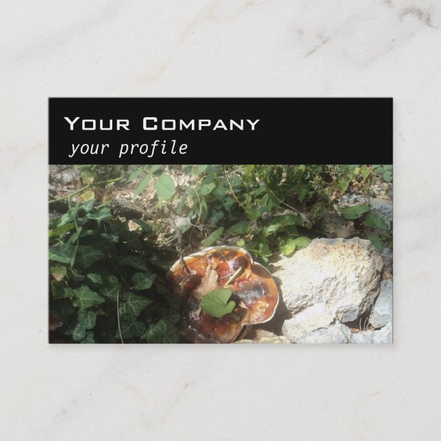 mushroom ,ivy ,stones business card (Front)