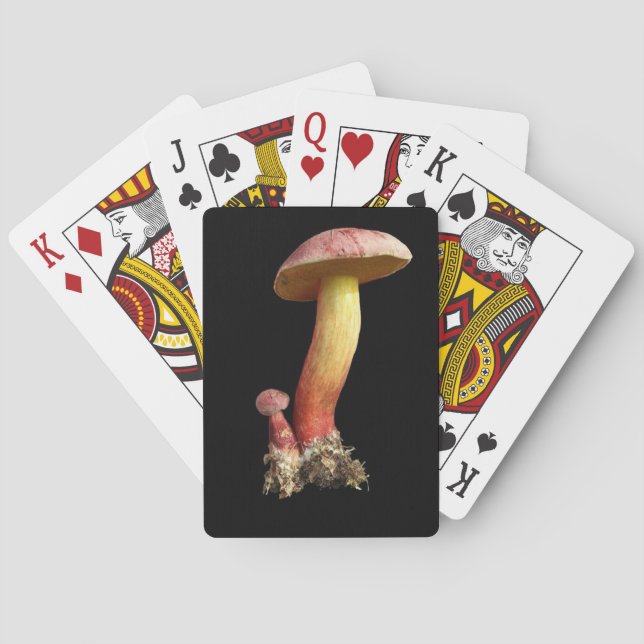 Mushroom lover's card deck (Back)