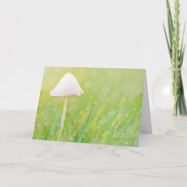 Mushroom Nature Birthday Card (Front)