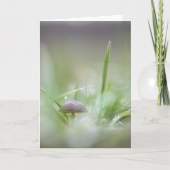 Mushroom Nature Photo Card (Front)