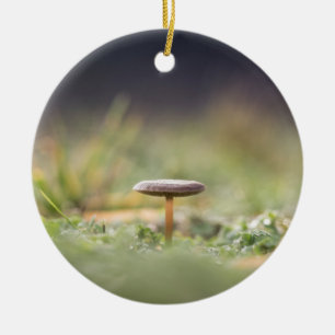 Mushroom Nature Photo Ceramic Ornament