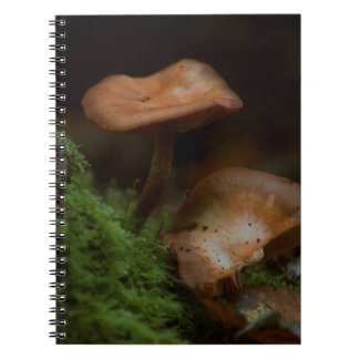 Mushroom notebook