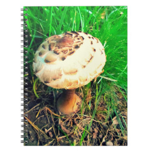 Mushroom Notebook