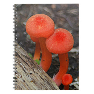 Mushroom Notebook