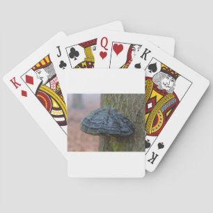 Mushroom on a tree trunk in the forest playing cards