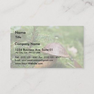 Mushroom On Moss Business Card