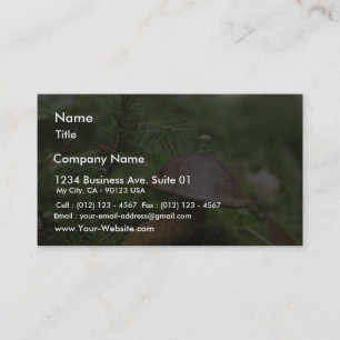 Mushroom On Moss Business Card