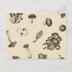 Mushroom pattern postcard