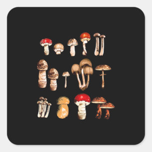Mushroom Picker Life Square Sticker