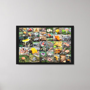 Mushroom Planet - Montgomery County PA Canvas Print