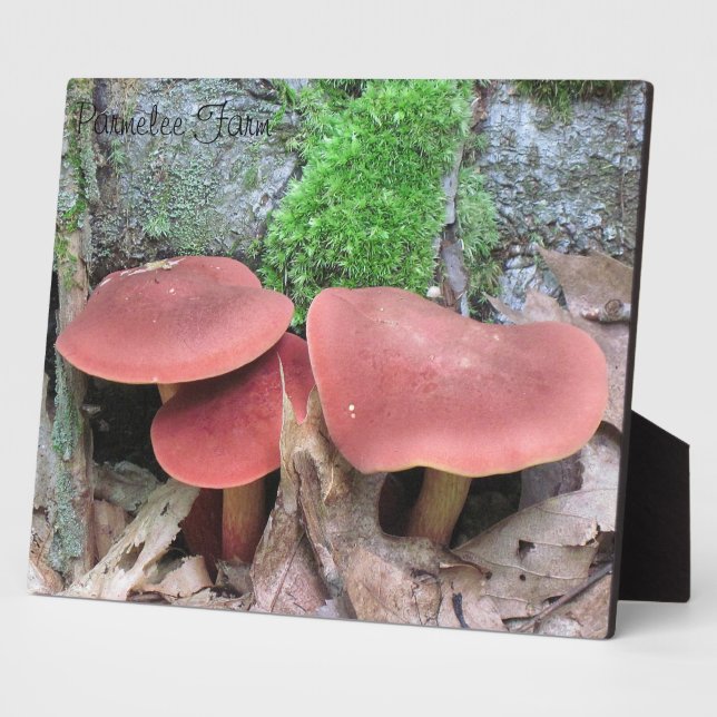 Mushroom Plaque (Side)
