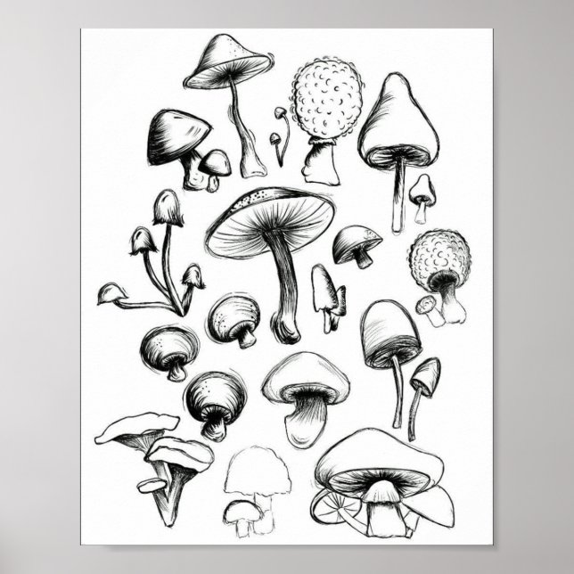 Mushroom Poster (Front)