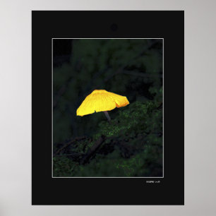 Mushroom Poster