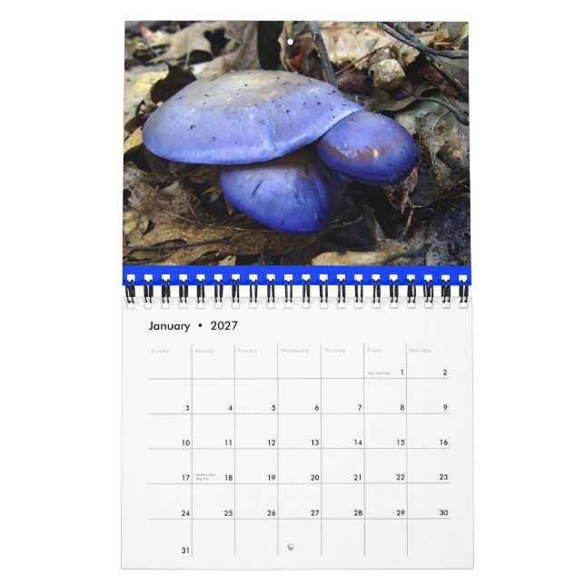 Mushroom Rainbow 2012 calendar (Jan 2027)