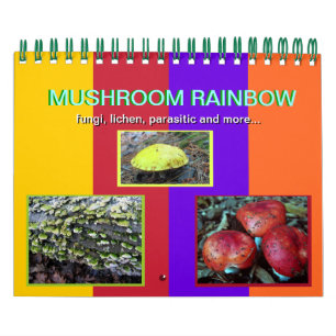 Mushroom Rainbow 2013 calendar