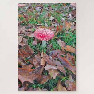 mushroom red with white dots jigsaw puzzle