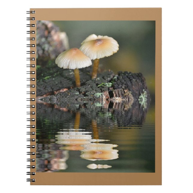 Mushroom Reflections Notebook (Front)