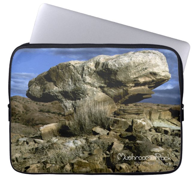 Mushroom Rock Laptop Sleeve (Front)