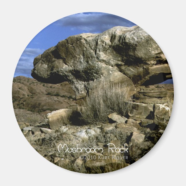 Mushroom Rock Magnet (Front)