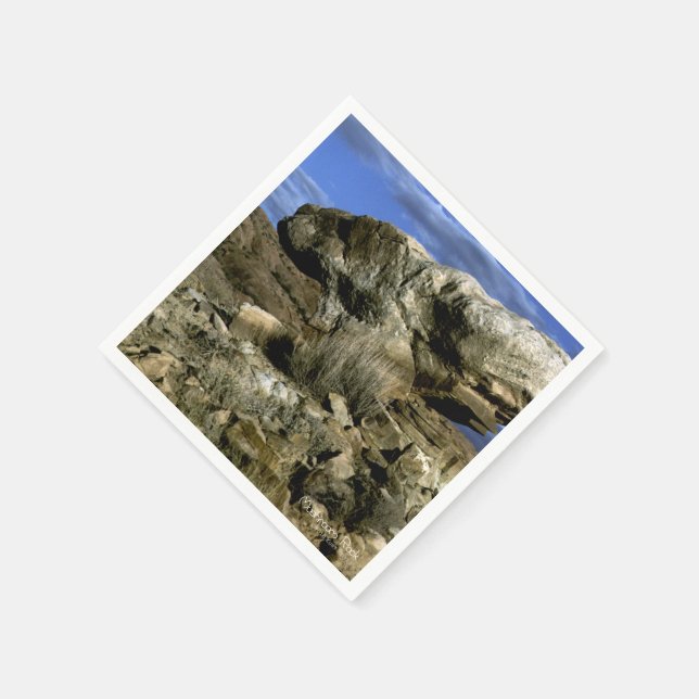 Mushroom Rock Napkin (Corner)