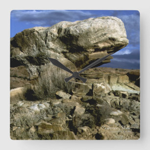 Mushroom Rock Square Wall Clock