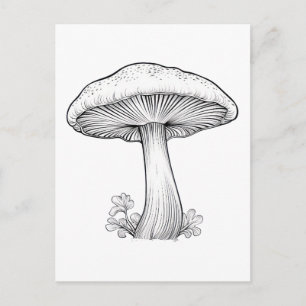 Mushroom sketch pencil drawing , cartoon , tree Postcard