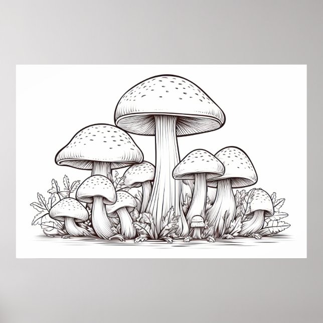 Mushroom sketch poster (Front)