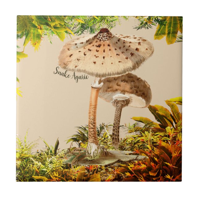 Mushroom Species Snake Agaric | Ceramic Tile (Front)