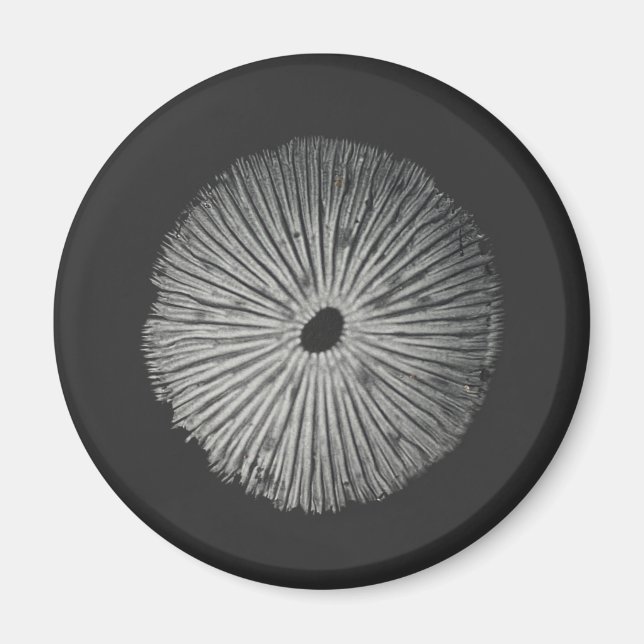 Mushroom spore magnet (Front)