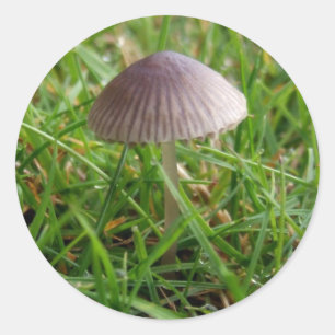Mushroom Stickers
