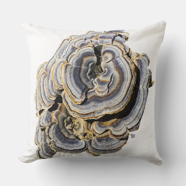 Mushroom Throw Pillow (Front)