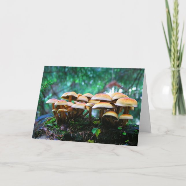 mushroom village card (Front)