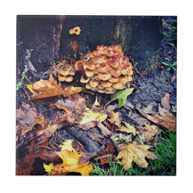 Mushroom Village Ceramic Tile (Front)