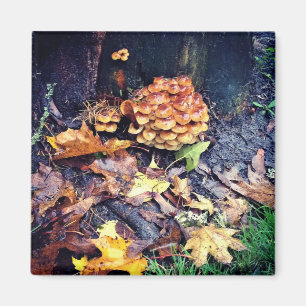 Mushroom Village Magnet