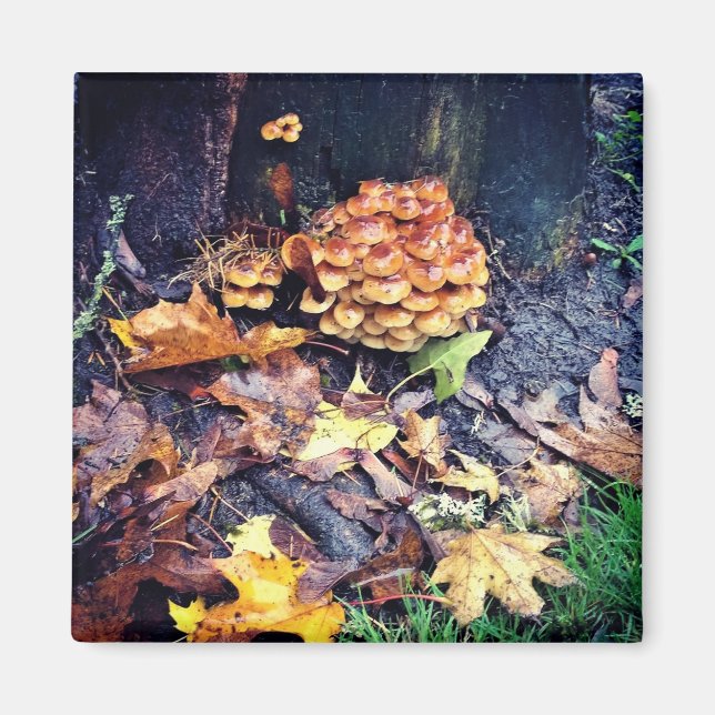 Mushroom Village Magnet (Front)
