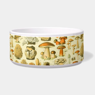 Mushroom Vintage Toadstool Antique Illustration
