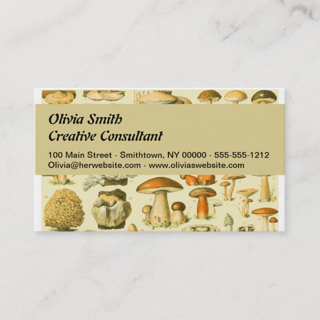 Mushroom Vintage Toadstool Antique Illustration Business Card (Front)