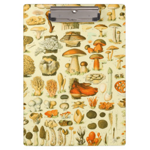 Mushroom Vintage Toadstool Antique Illustration Clipboard