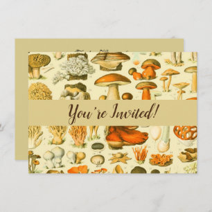 Mushroom Vintage Toadstool Antique Illustration Invitation