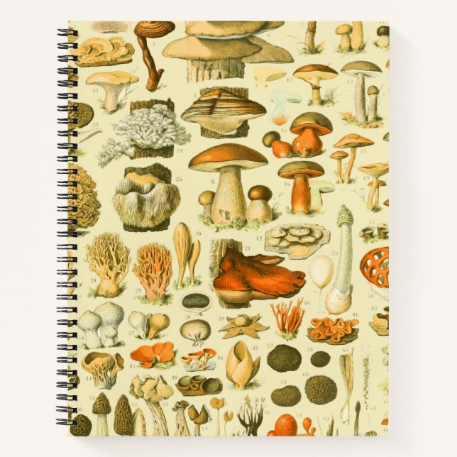 Mushroom Vintage Toadstool Antique Illustration Notebook (Front)